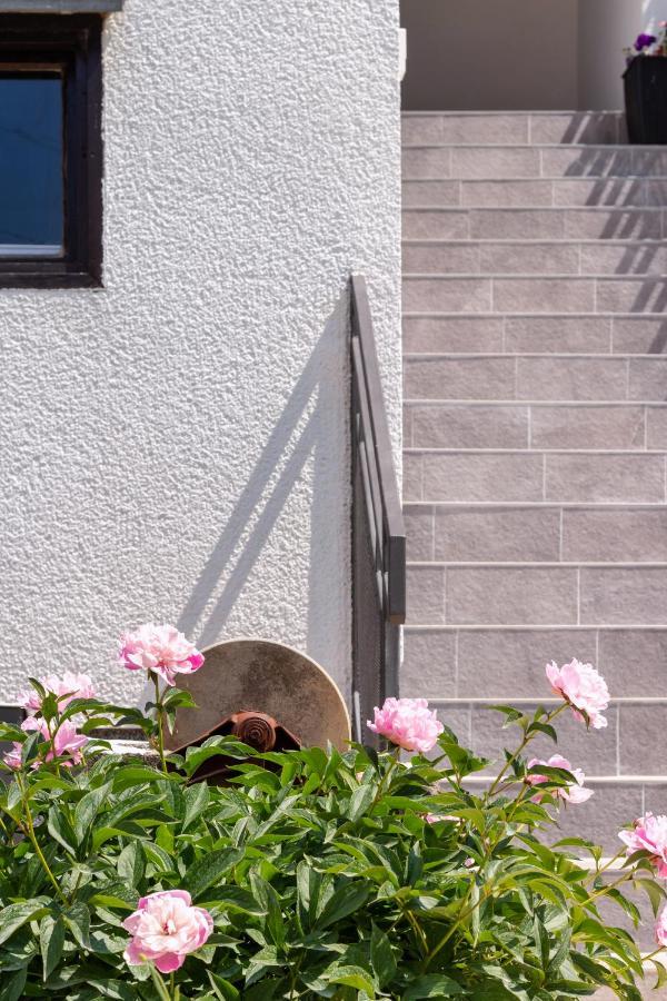 Apartman Gabrijela Muntic Exterior photo